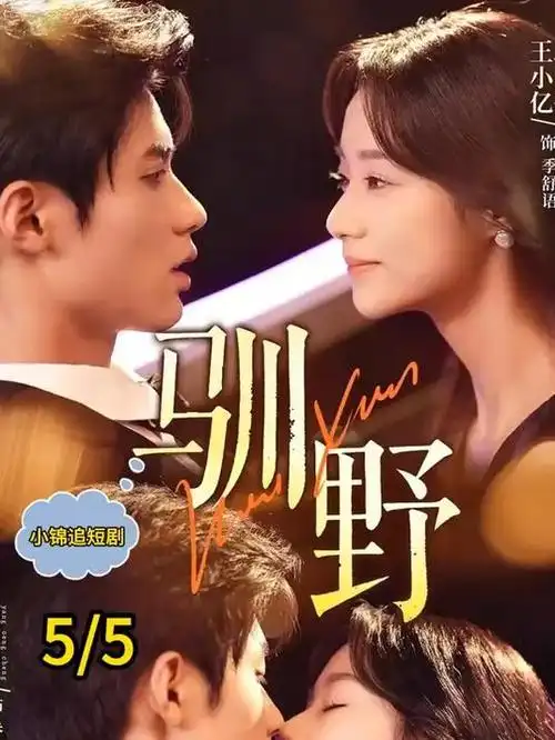 青史长歌 古装权谋剧更新在线观看
