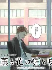 旧物新生 生活改造综艺手机在线观看